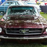 1965 1/2 Ford Mustang III Short Wheel Base - frontal