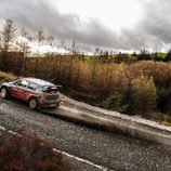 WRC Rallye Gales - Hyundai i30