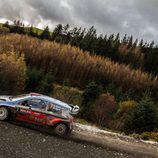 WRC Rallye Gales - bosques