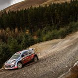 WRC Rallye Gales - i30