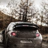 WRC Rallye Gales - embarrado