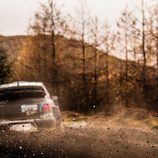 WRC Rallye Gales - Volkswagen lado
