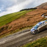WRC Rallye Gales - Fiesta