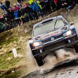 WRC Rallye Gales - Volkswagen Polo salto
