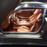 Spyker C8 2016 - puerta