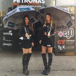 Paddock Girls del GP de Aragón 2016 - Aprilia