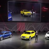 Audi TT Offroad Concept - escenario