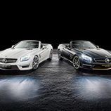 Mercedes SL63 AMG WC F1 2014 Collector's Edition
