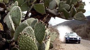 El Rally de México contará con una especial de 80 km