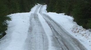 El Rally de Suecia sigue adelante con nieve o sin ella
