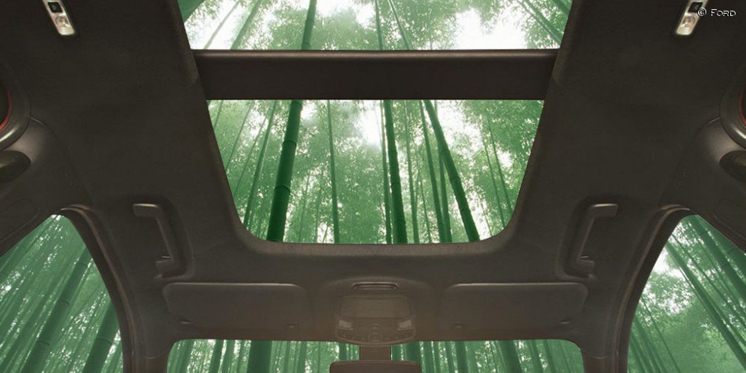 Ford planea utilizar el Bambú como materia prima