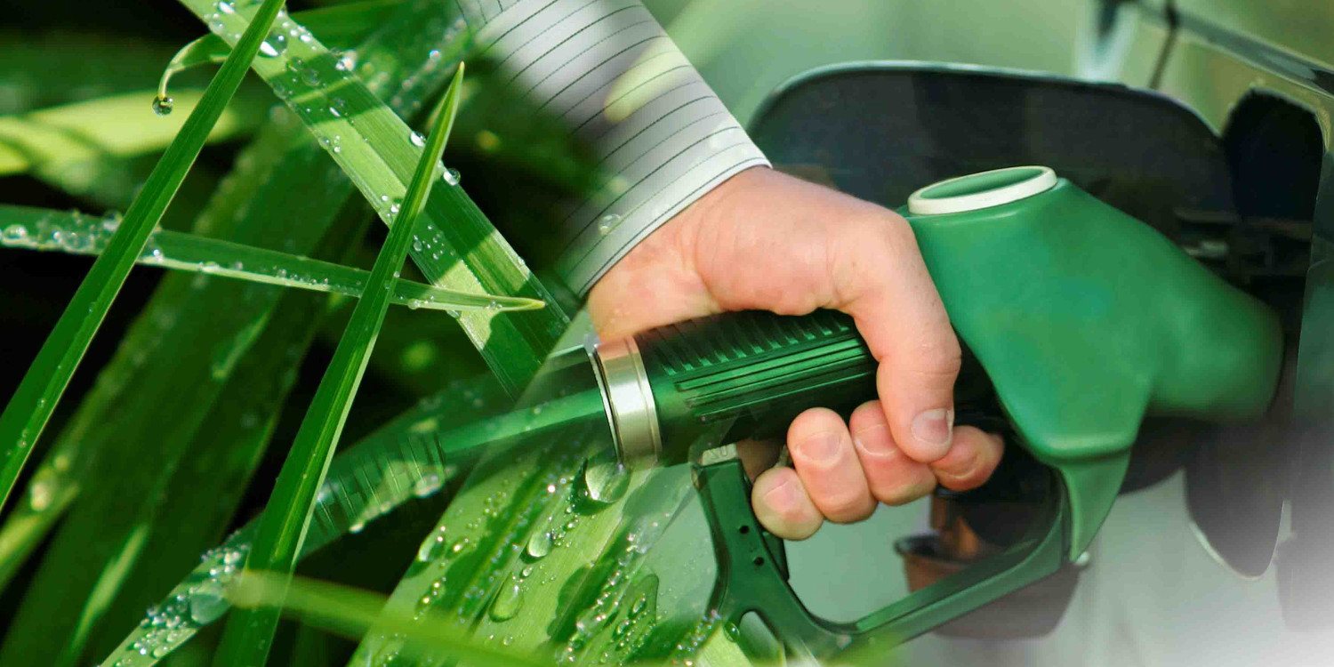 El Bioetanol como combustible ecológico alternativo