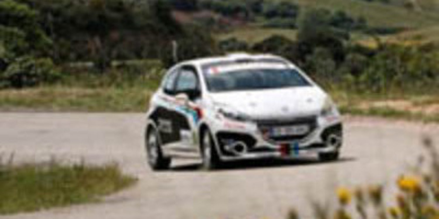 Renault y Peugeot optan a gestionar la WRC Academy
